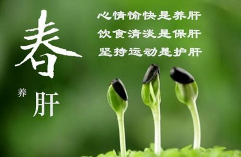 春季养生全攻略，顺应自然，健康一整年