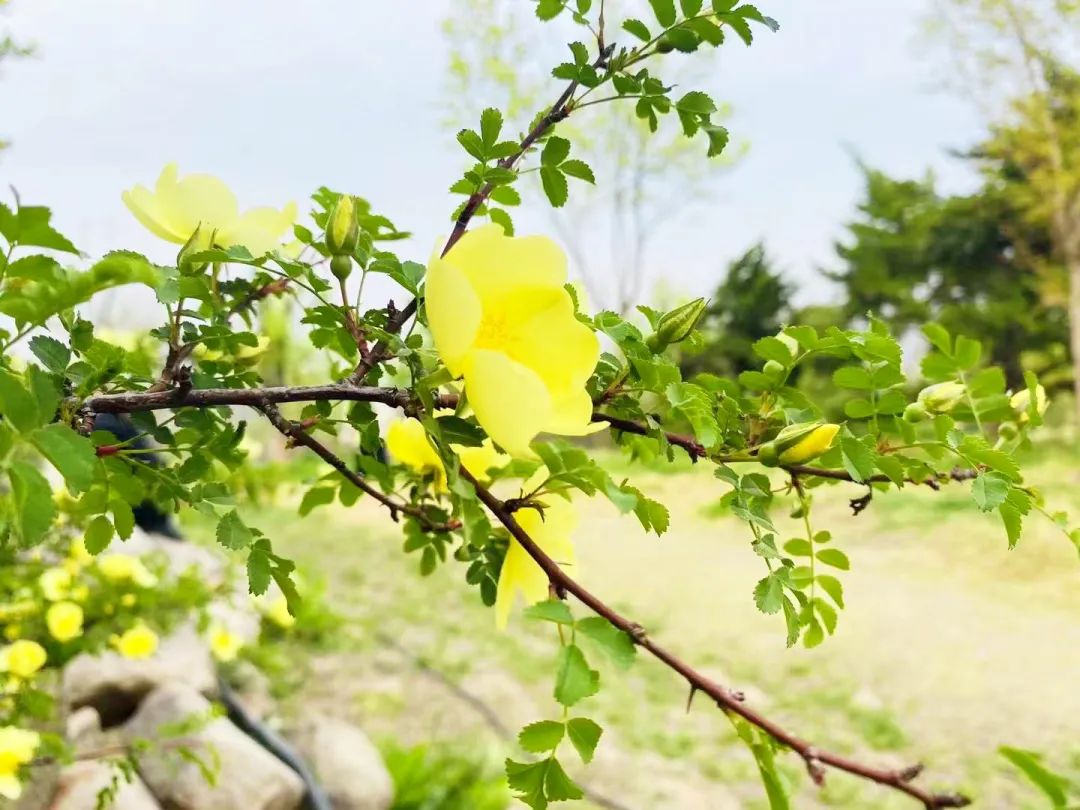 给你好看的，一大波春日生态美景来袭，生态美景，春日生态美景