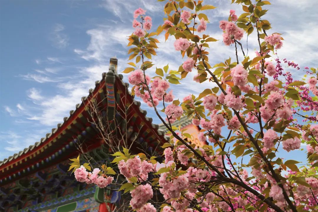 给你好看的，一大波春日生态美景来袭，生态美景，春日生态美景