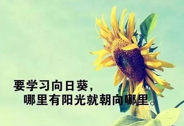 躬身拾尊严，破茧见晴空