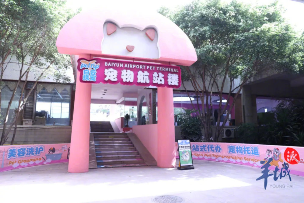 全国首个宠物航站楼5月正式开放，全国首个宠物航站楼，宠物航站楼，首个宠物航站楼正式开放