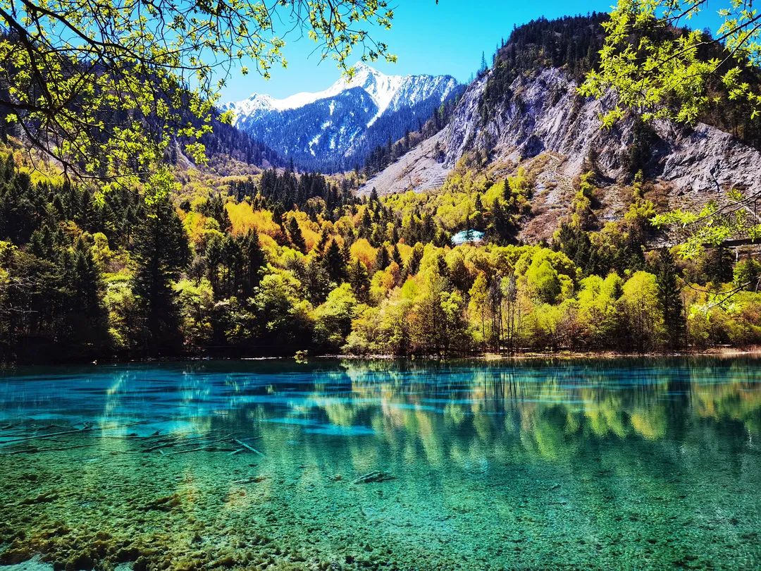 美丽九寨牵动游人心，是心之所向的地方，九寨，心之所向